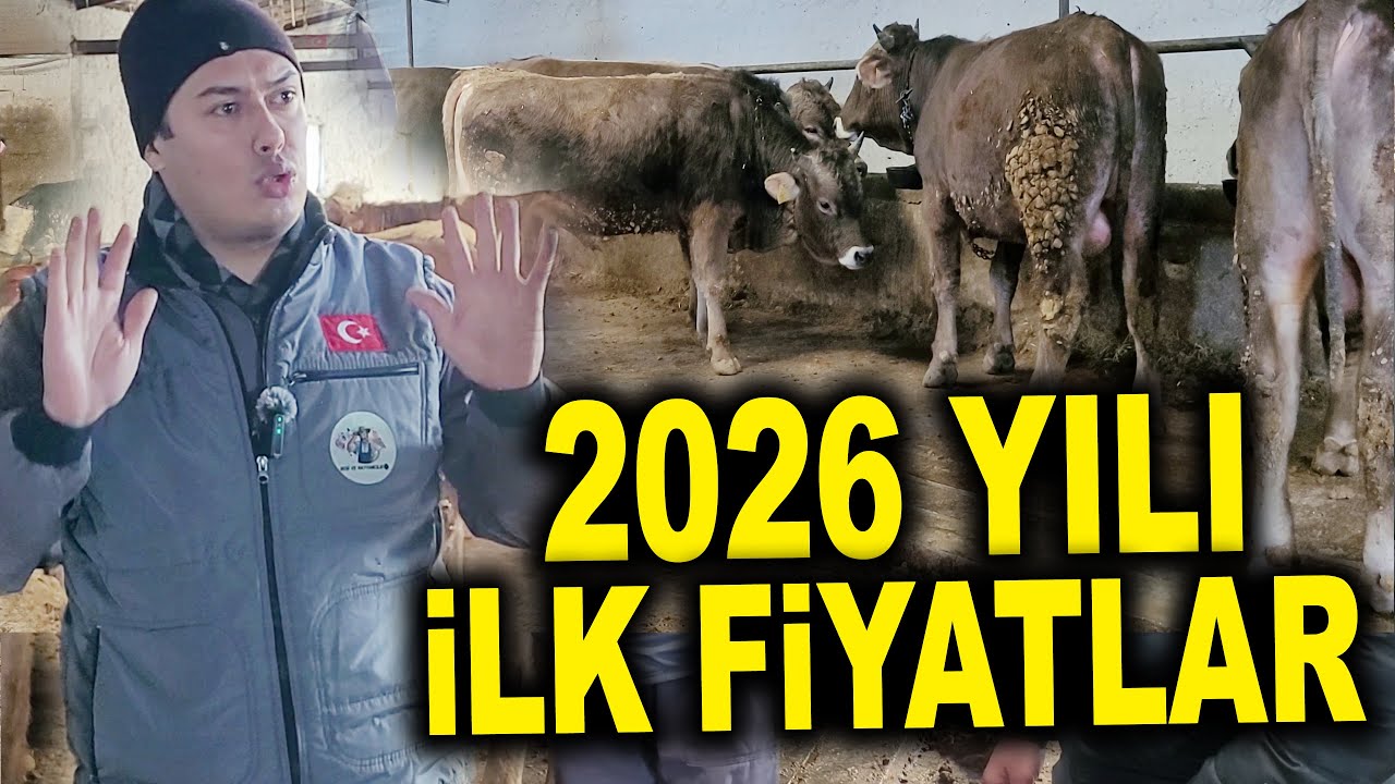 2026 Kurbanlık Fiyatları Dudak Uçuklattı: Küçükbaş ve Büyükbaşta Yeni Liste Belli Oldu!