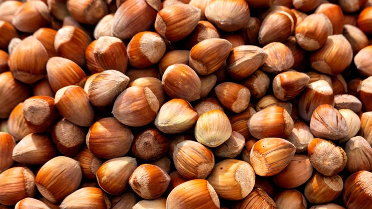 İl İl Fındık Fiyatları Listesi Değişti! Fındık Fiyatları Kaç TL Oldu?